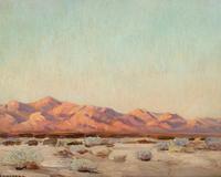 Evening on the Desert