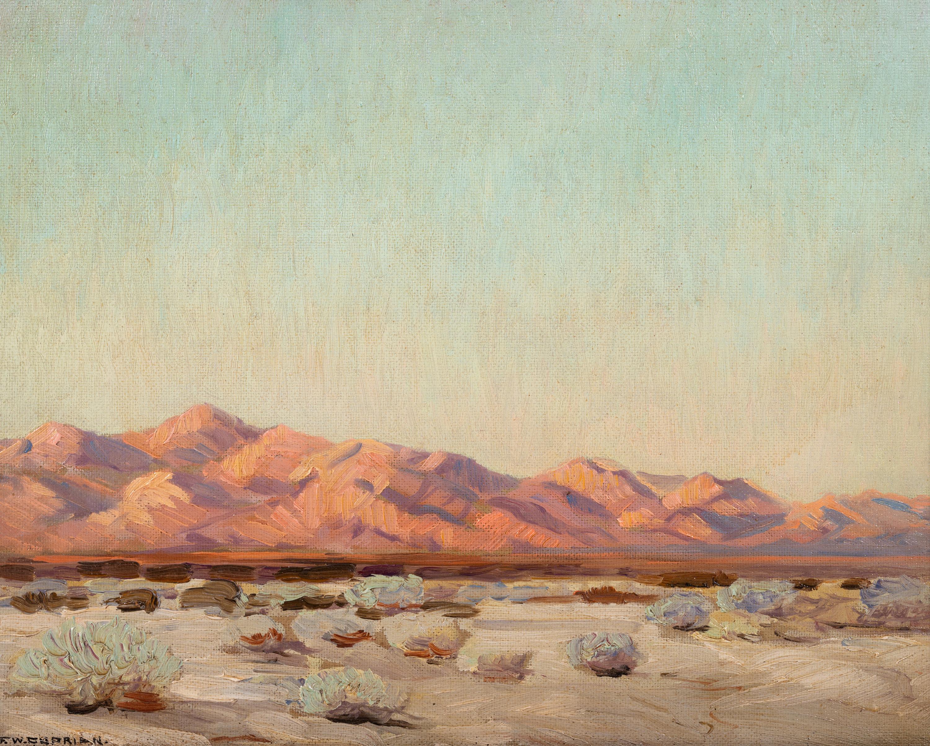 Evening on the Desert