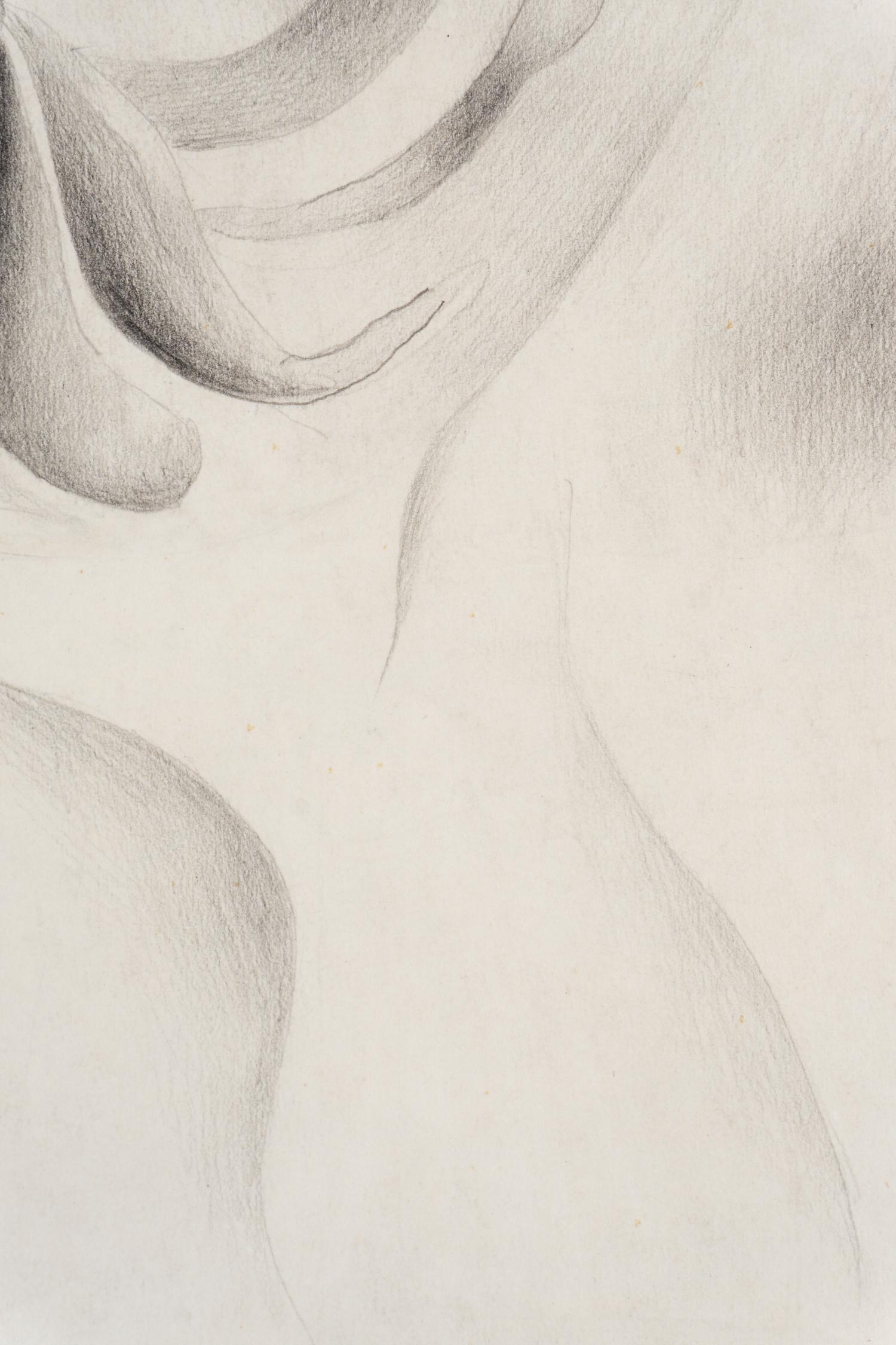 Tête de Comète , 1931