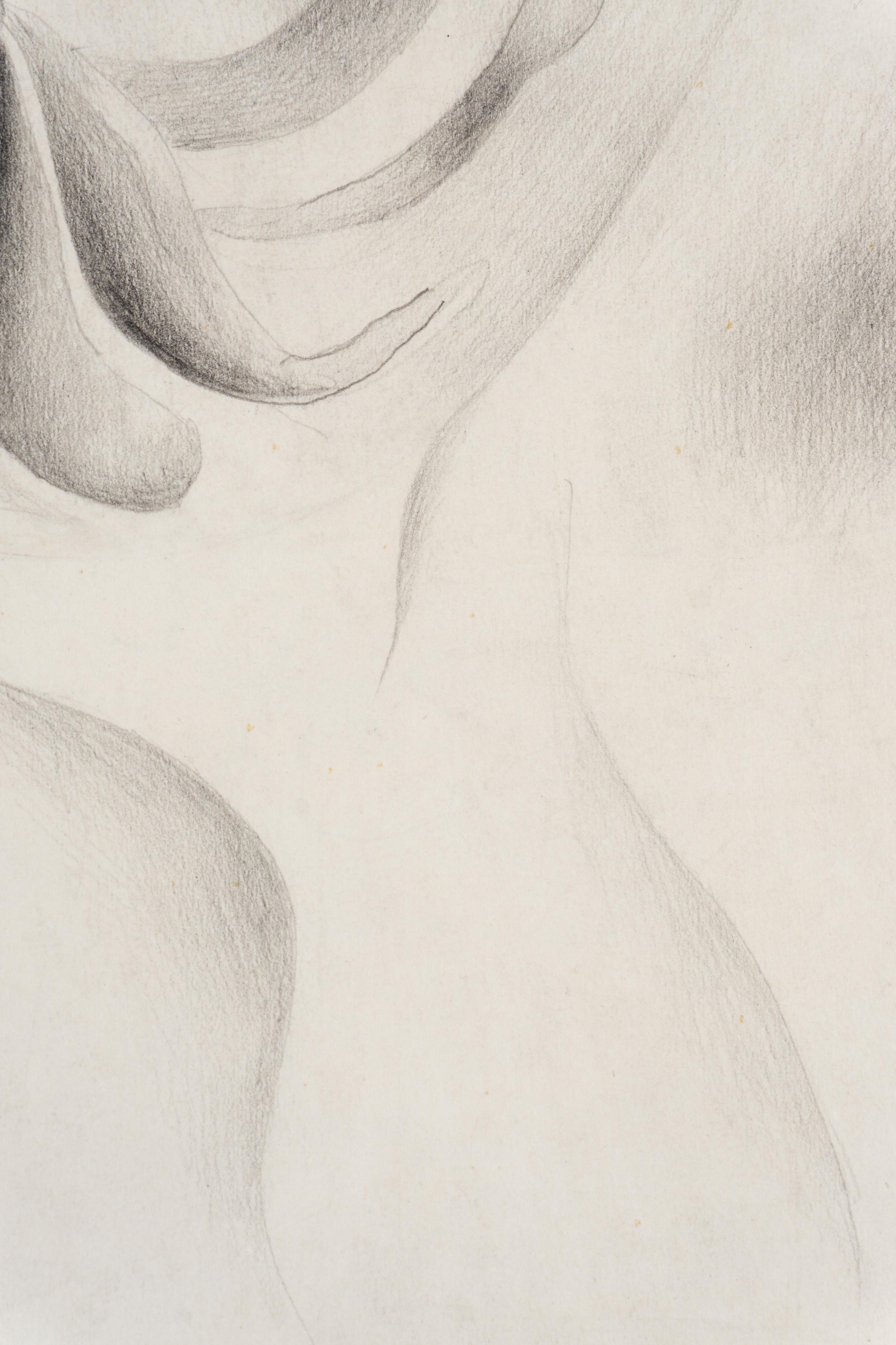 Tête de Comète , 1931