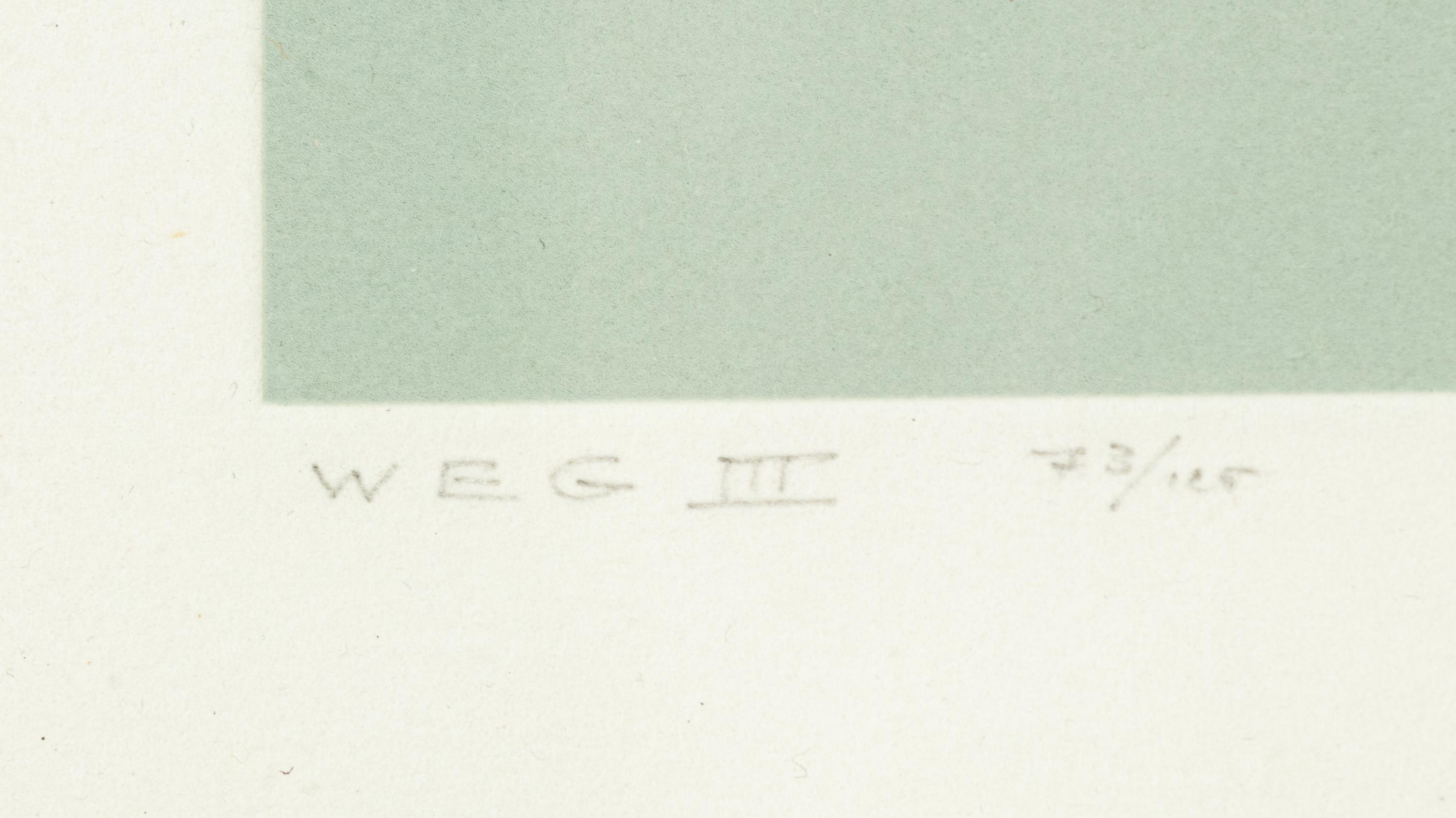 White Embossing on Gray: I-X (complete series)