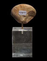 An Anatolian Marble Head