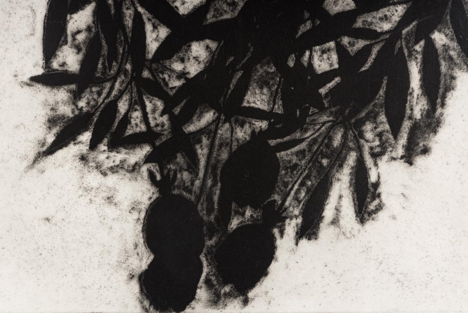Black Roses, November 1989