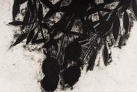 Black Roses, November 1989