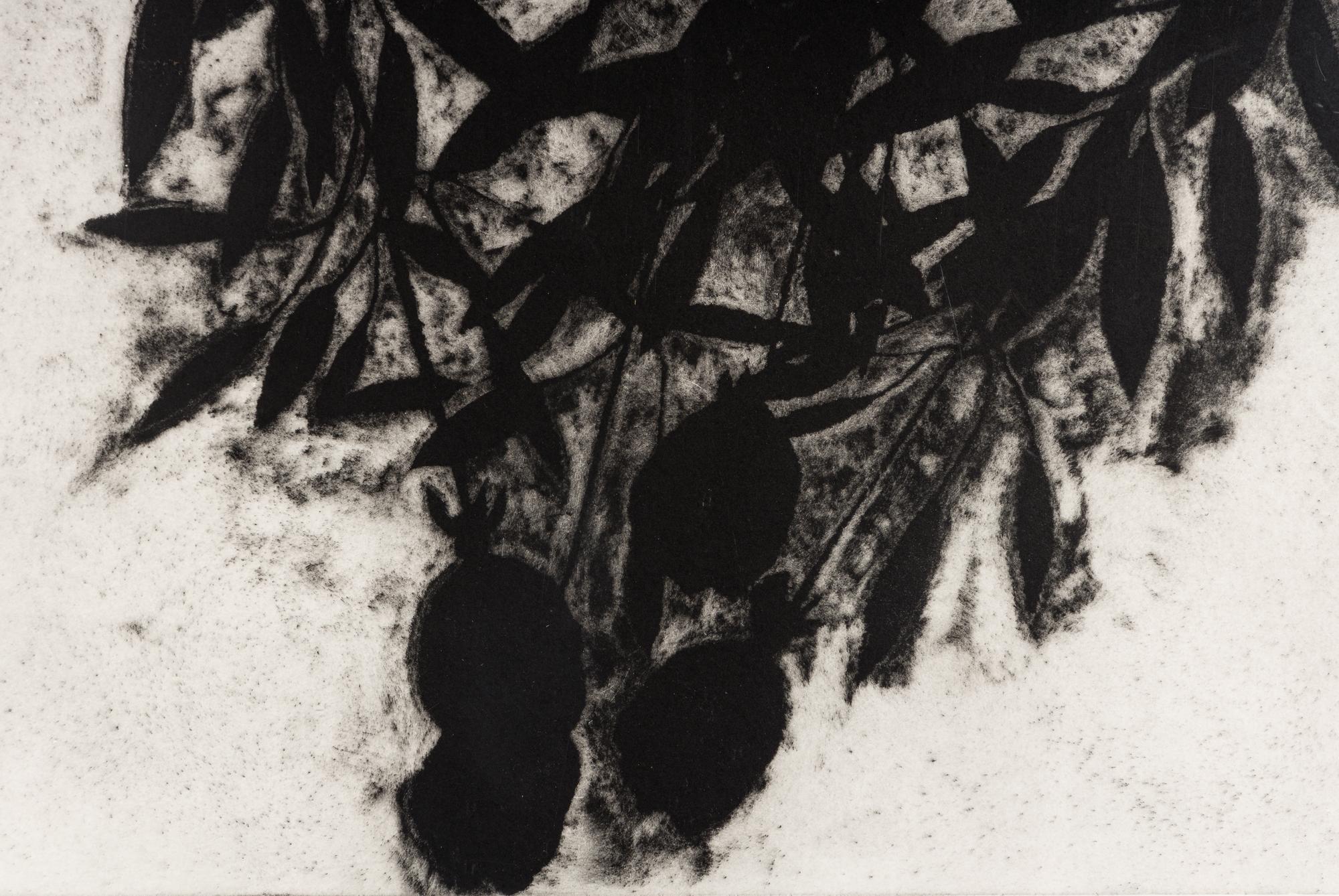 Black Roses, November 1989