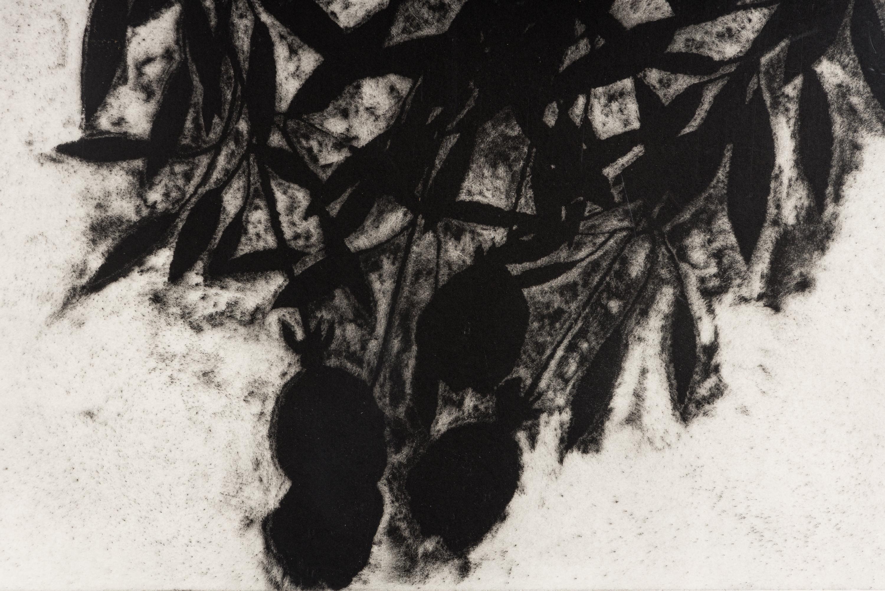Black Roses, November 1989