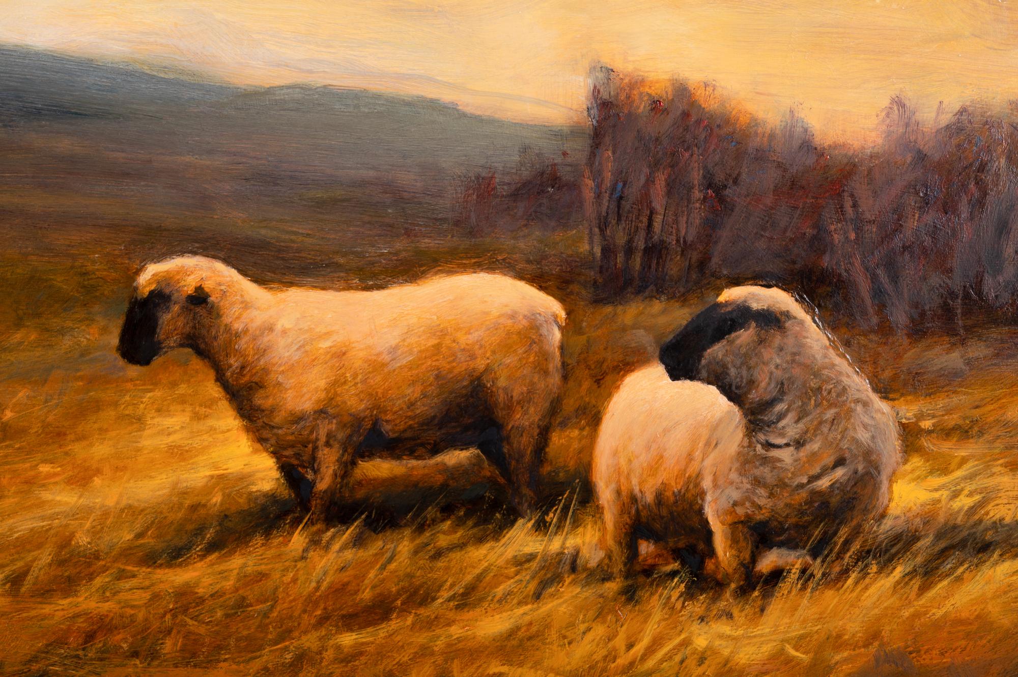 Sheep in a Grassy Field
