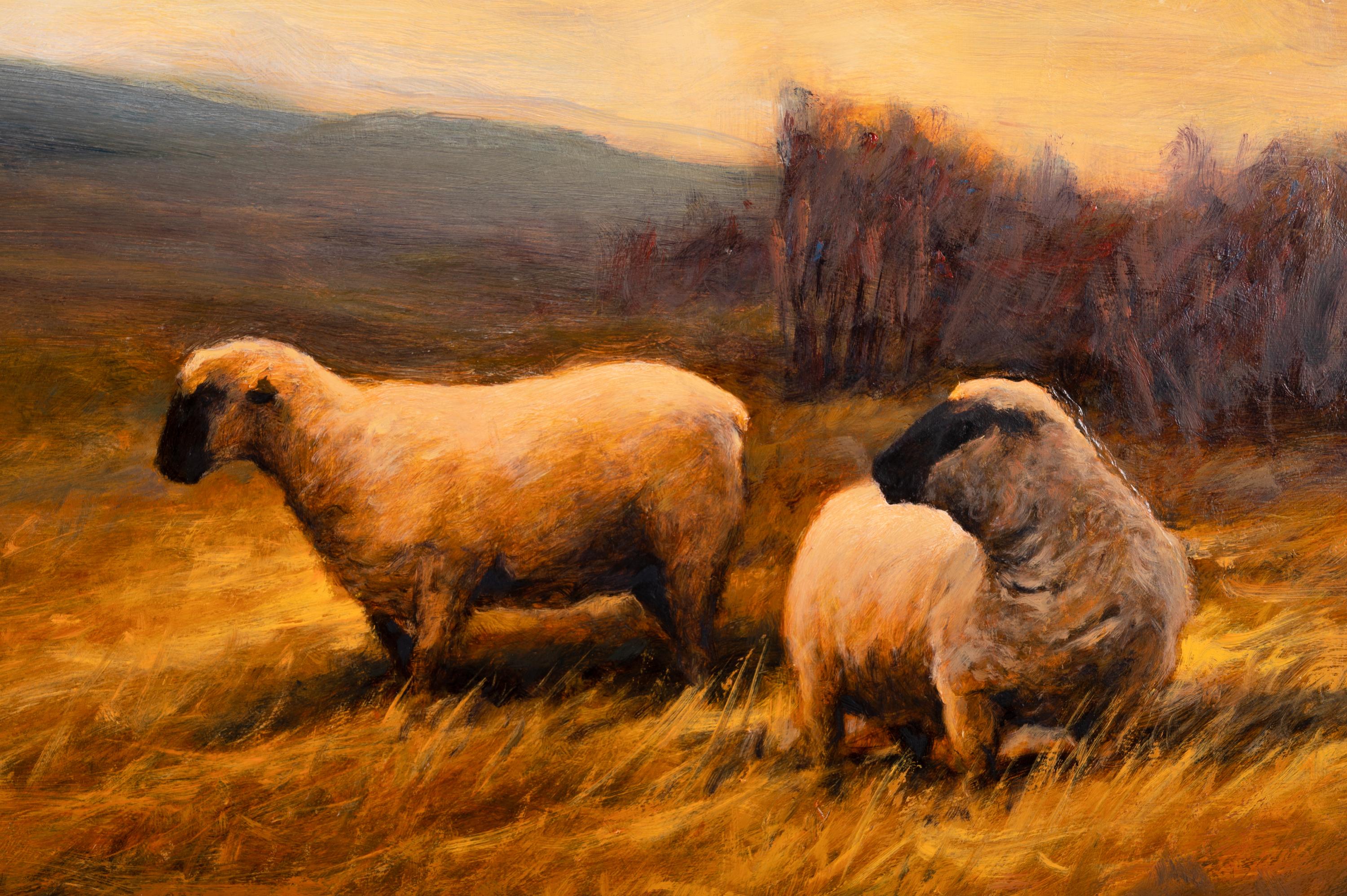 Sheep in a Grassy Field