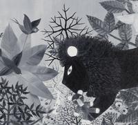 Nuit d'Afrique , 1978