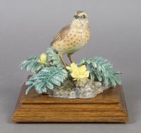 A Royal Worcester Dorothy Doughty Bird, Meadow Pipet, Height 6 inches.