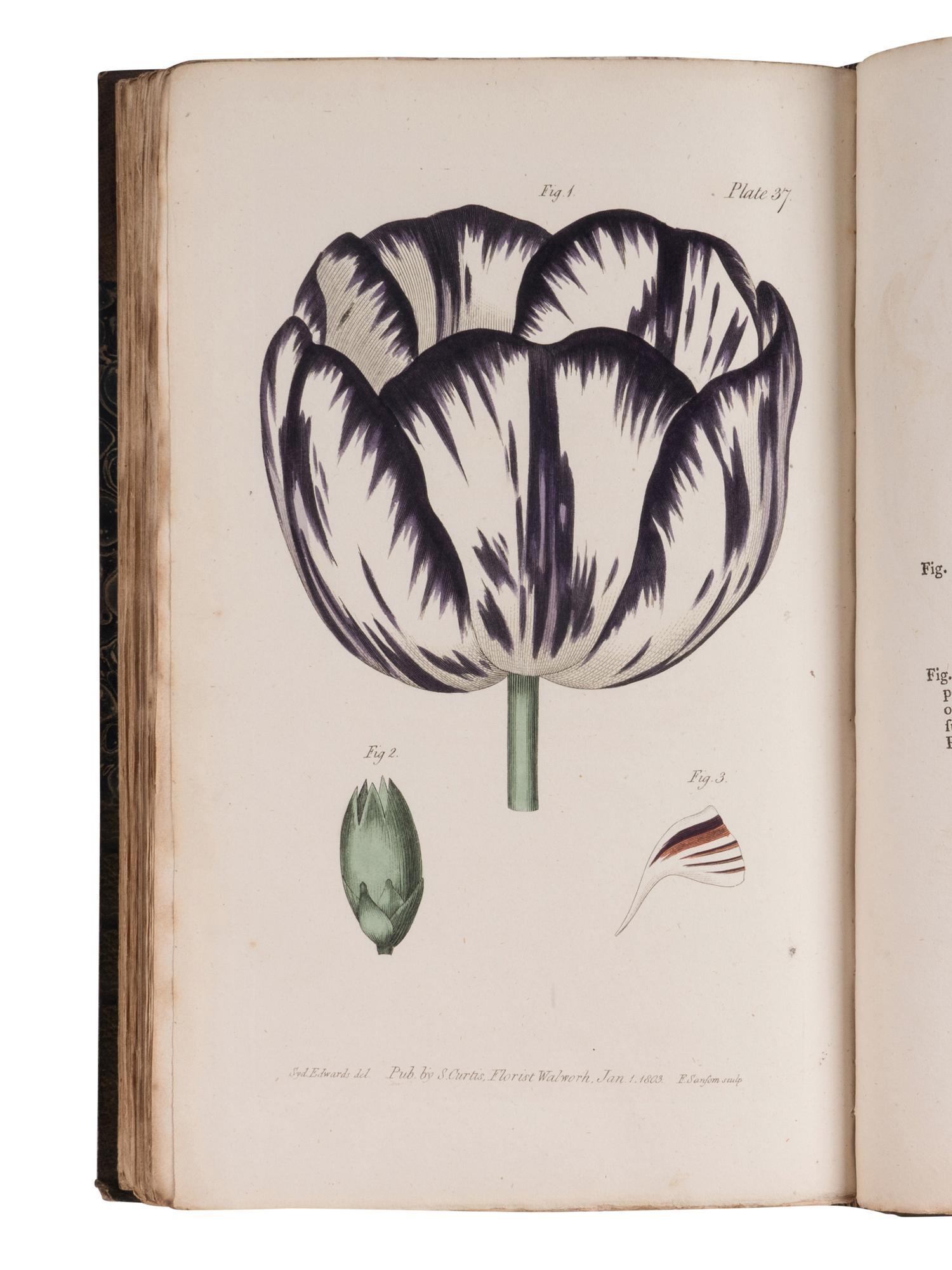 [NATURAL HISTORY]. CURTIS, William (1746-1799). Lectures on Botany... -Lectures on various Subjects . London: H.D. Symonds, 1805.