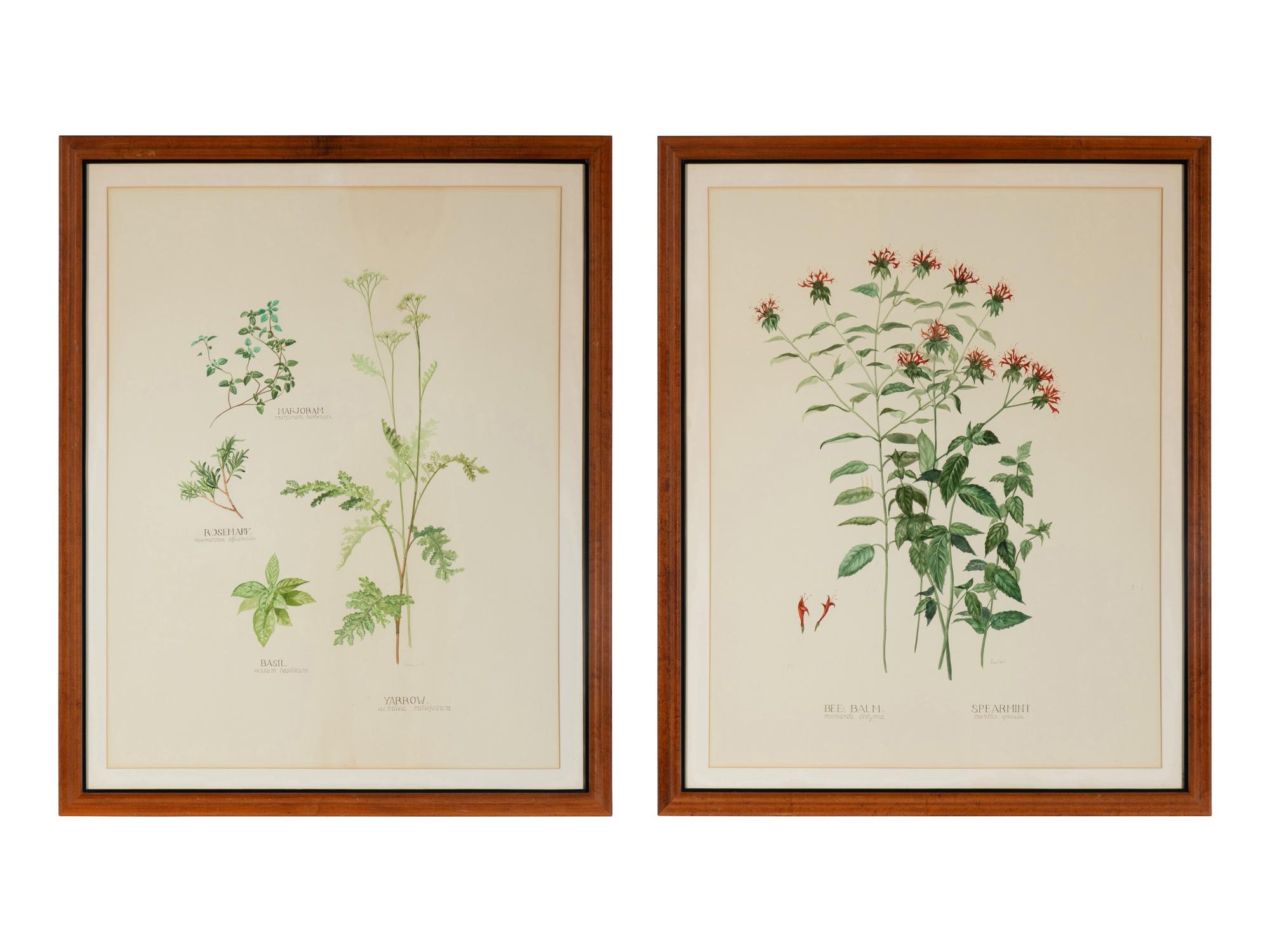 Four Louise Smith Watercolor Botanical Illustrations