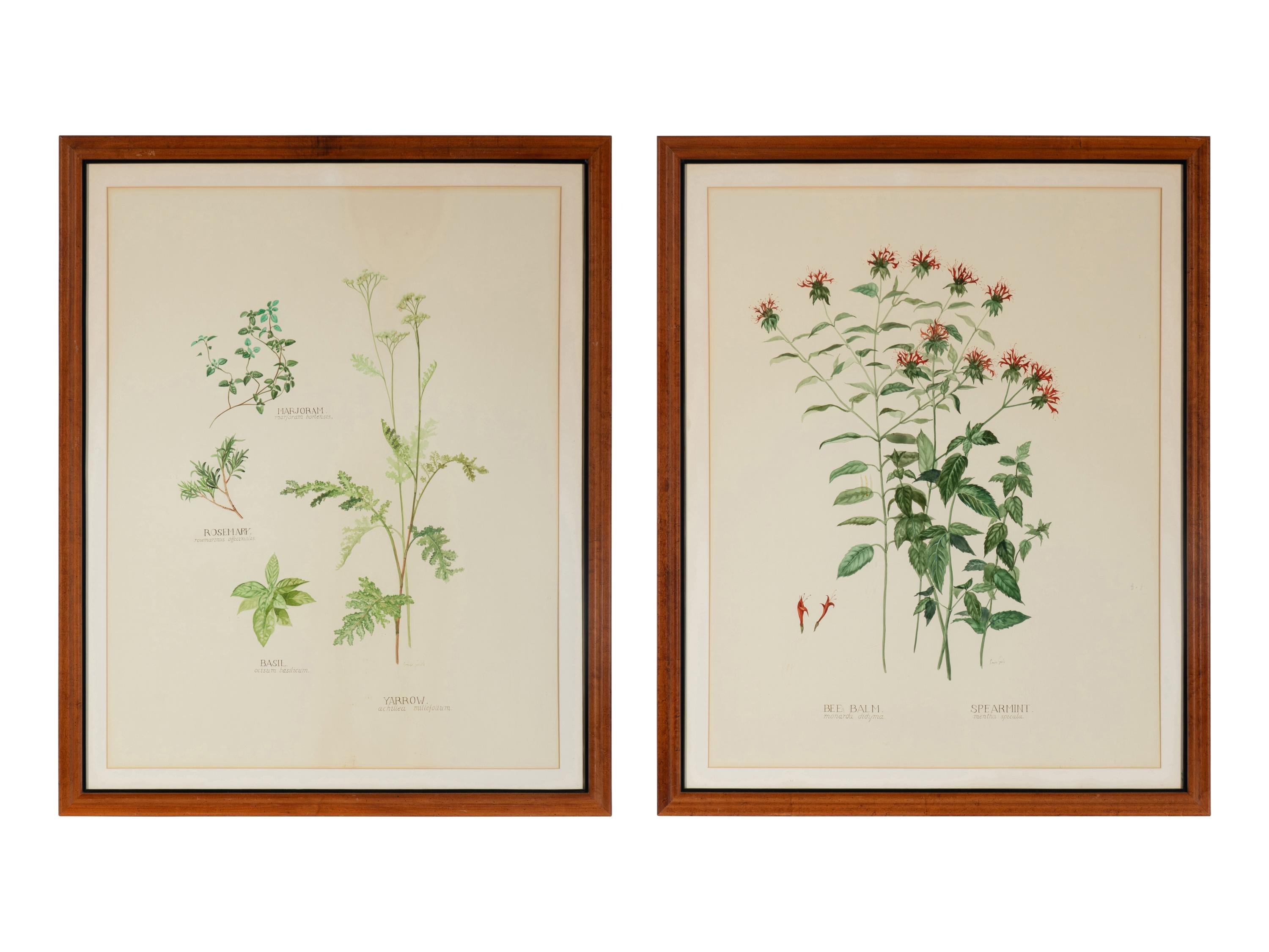 Four Louise Smith Watercolor Botanical Illustrations