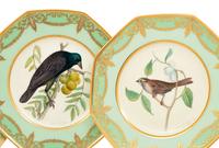 A Set of Eight Royal Worcester Porcelain Plates with Painted Birds from Audubon's Birds of America