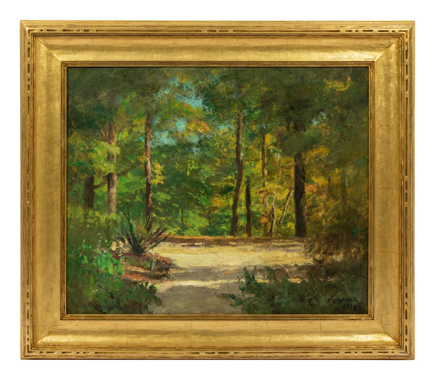 Forest Landscape