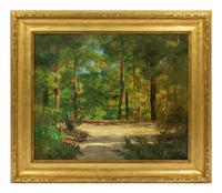 Forest Landscape