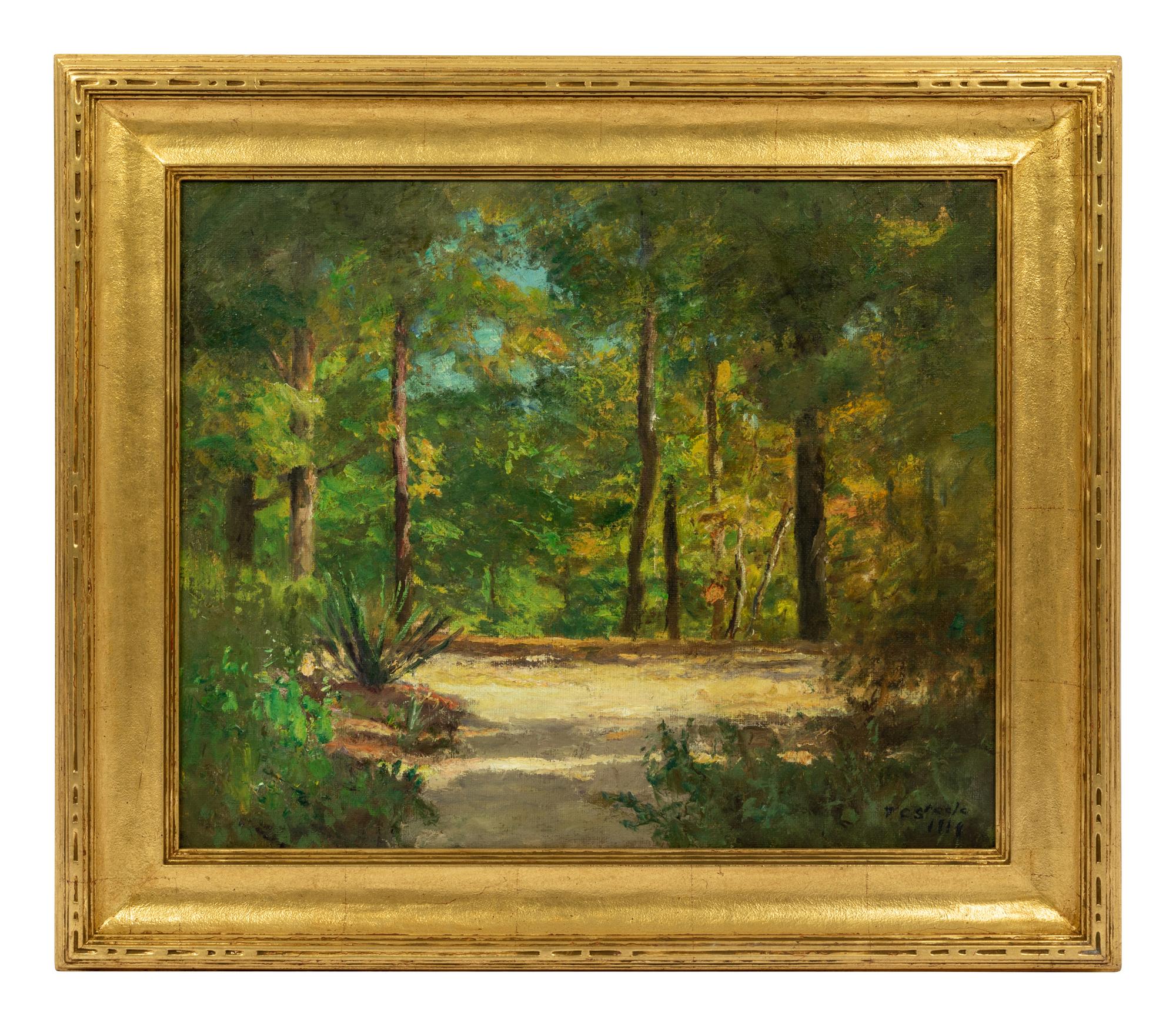 Forest Landscape