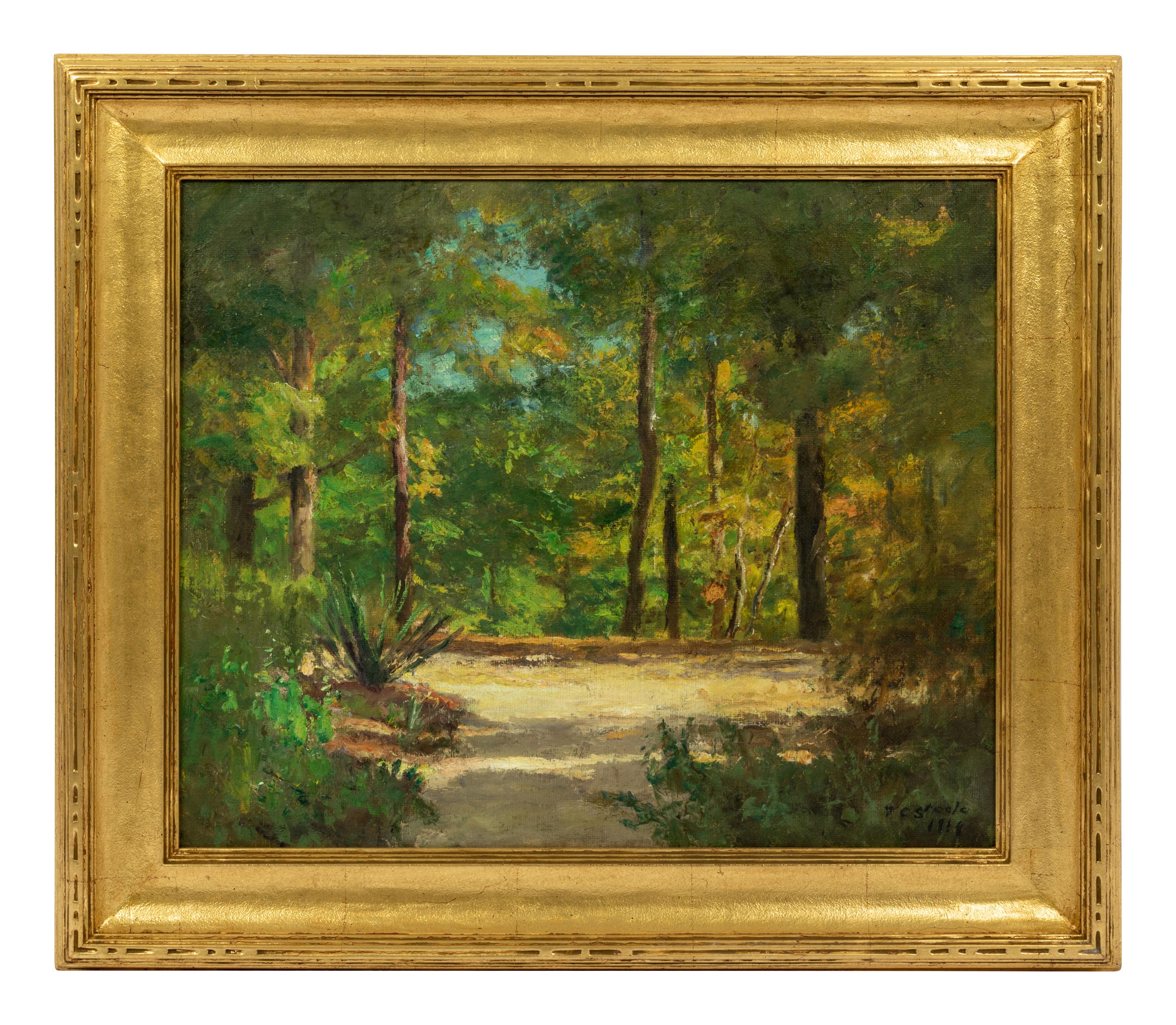 Forest Landscape