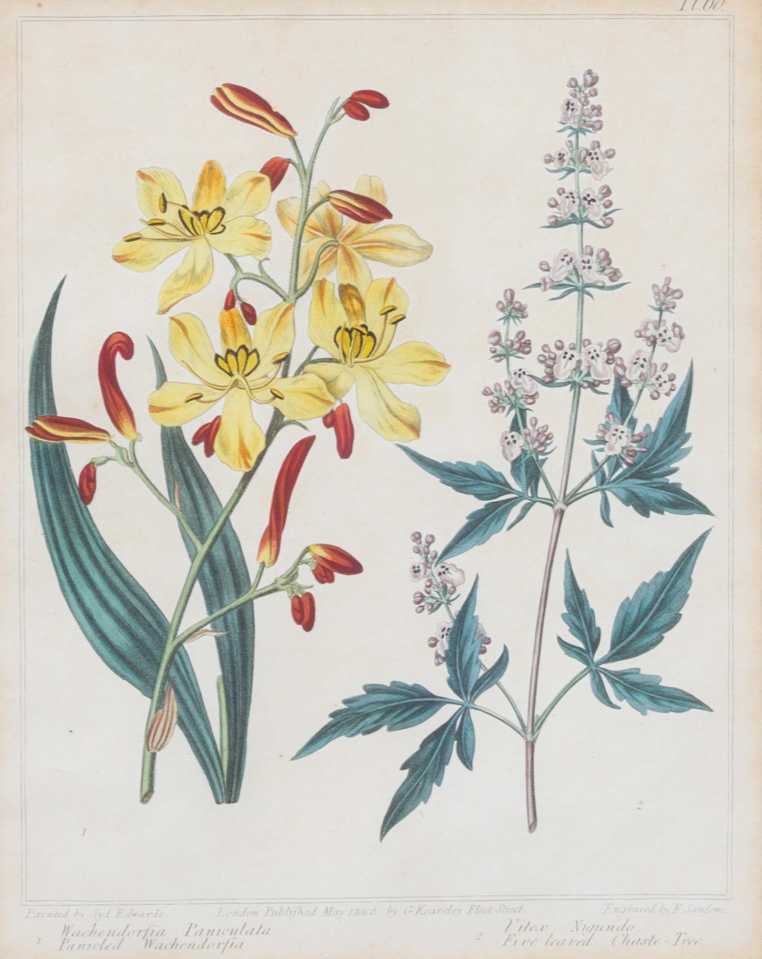 A Group of Six Botanical Color Prints 9 1/2 x 7 3/4 inches. — 20TH CENTURY