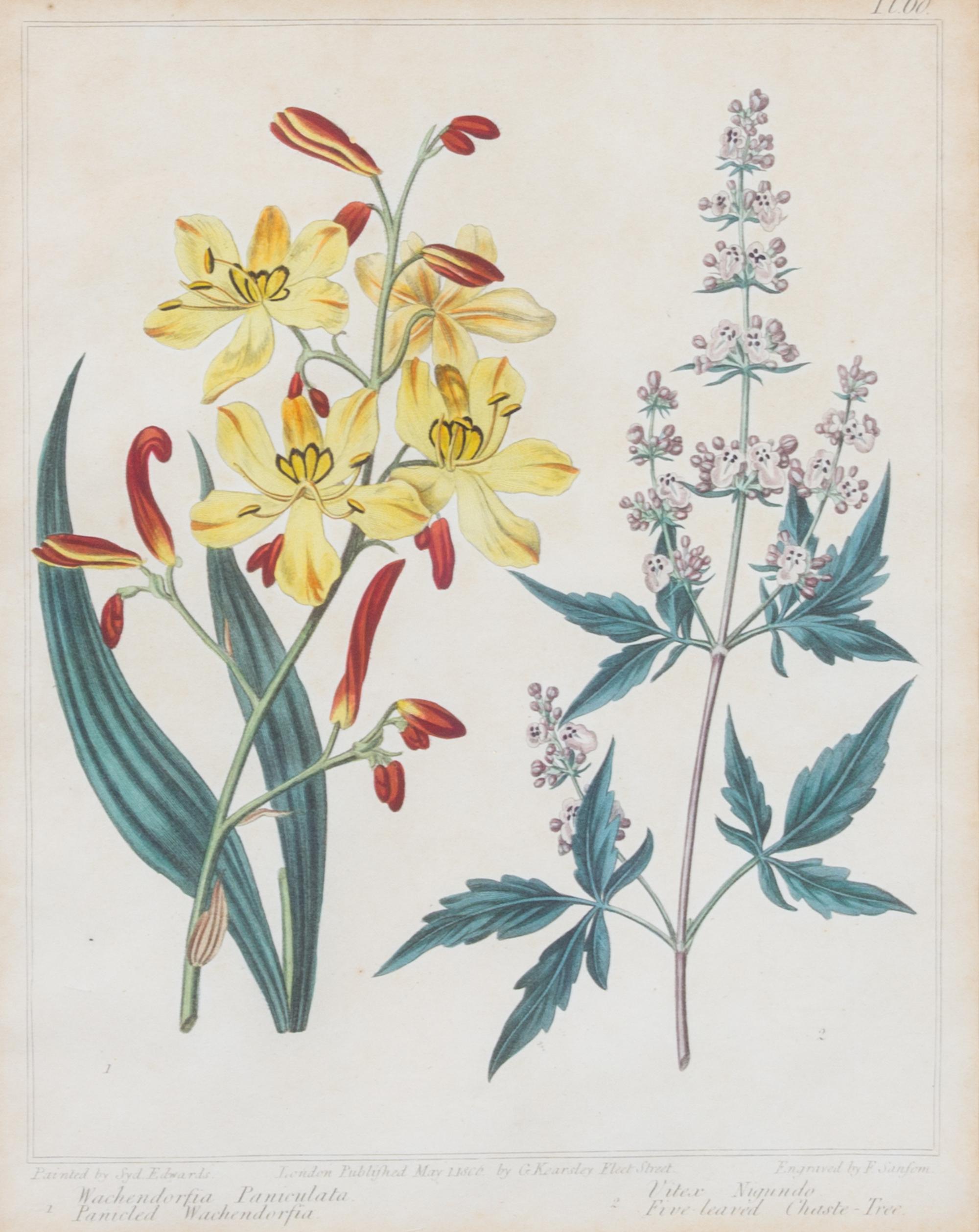 A Group of Six Botanical Color Prints 9 1/2 x 7 3/4 inches. — 20TH CENTURY