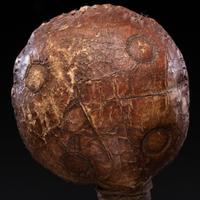 Apsáalooke Hide Rattle, From the Collection of Dick Jemison, Alabama