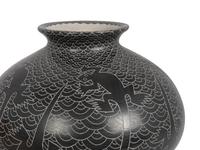Mata Ortiz Pottery, PLUS