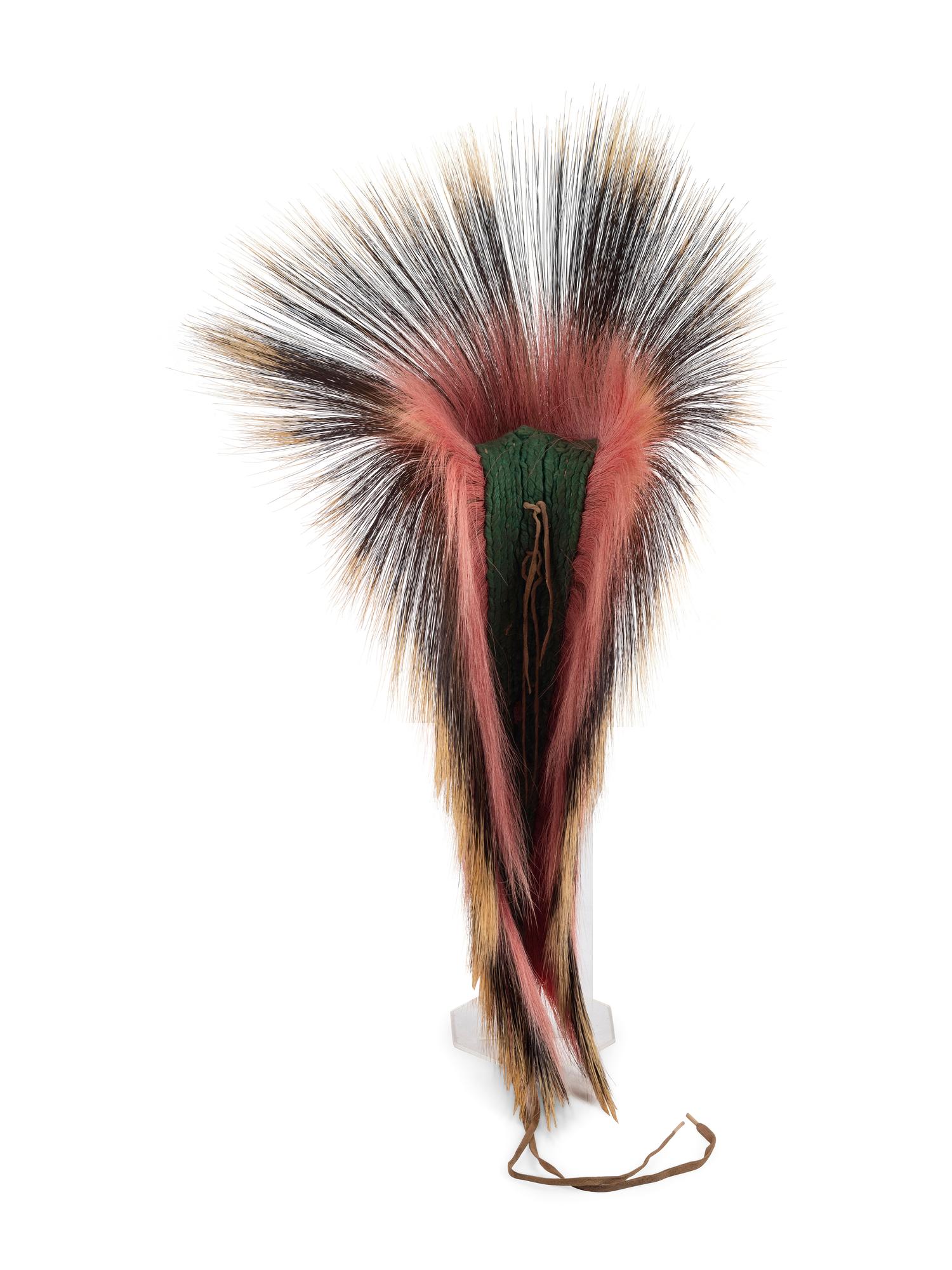 Plains Hair Roach