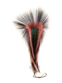 Plains Hair Roach