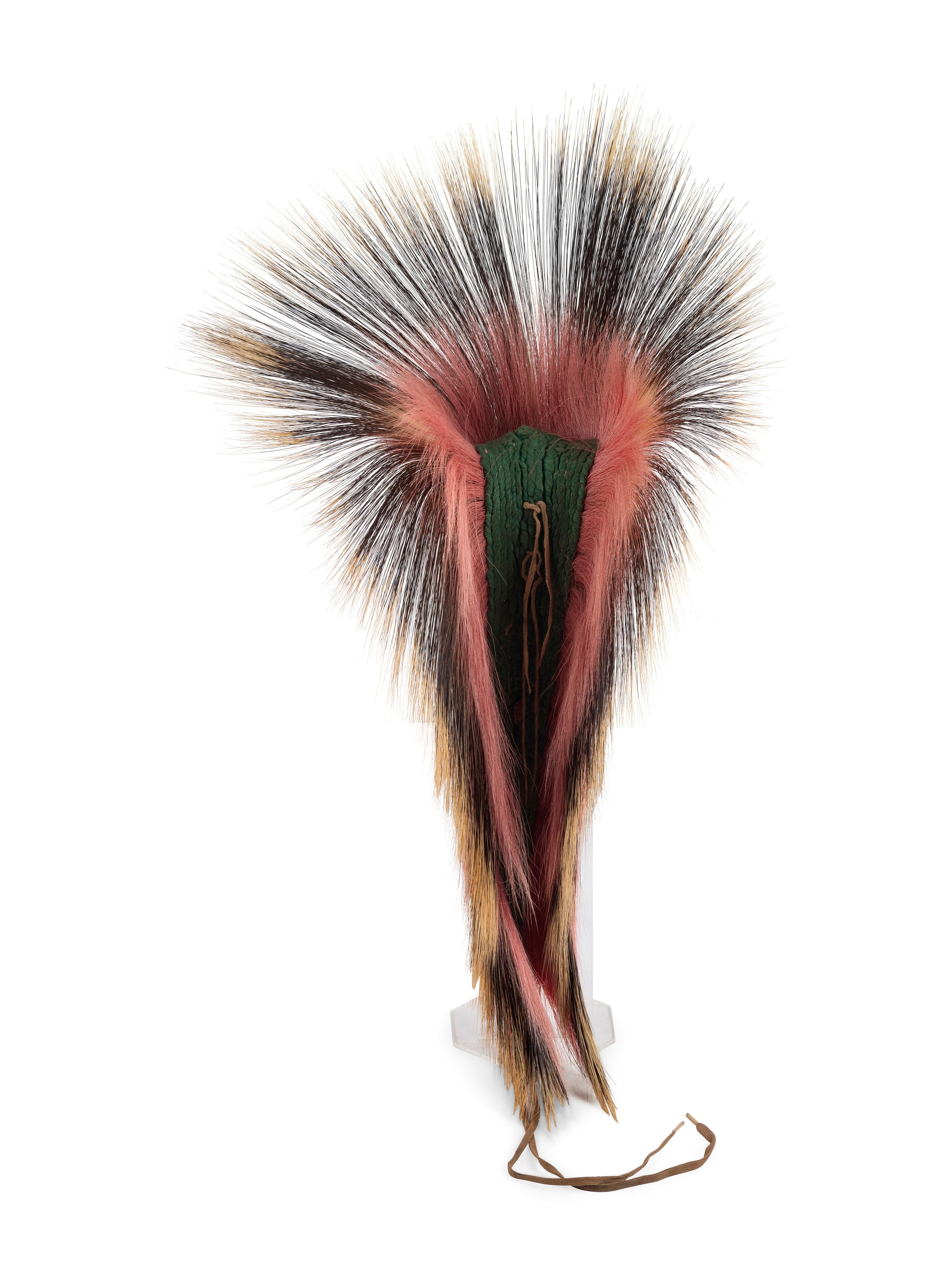 Plains Hair Roach