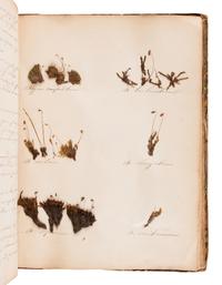 [SPECIMEN ALBUM - BRITISH MOSSES]. [PARNELL, William (1833-1906)]. "Preserved Specimens of British Mosses." [Dublin, ca 1850].
