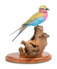 Feathered Rainbow , 2000