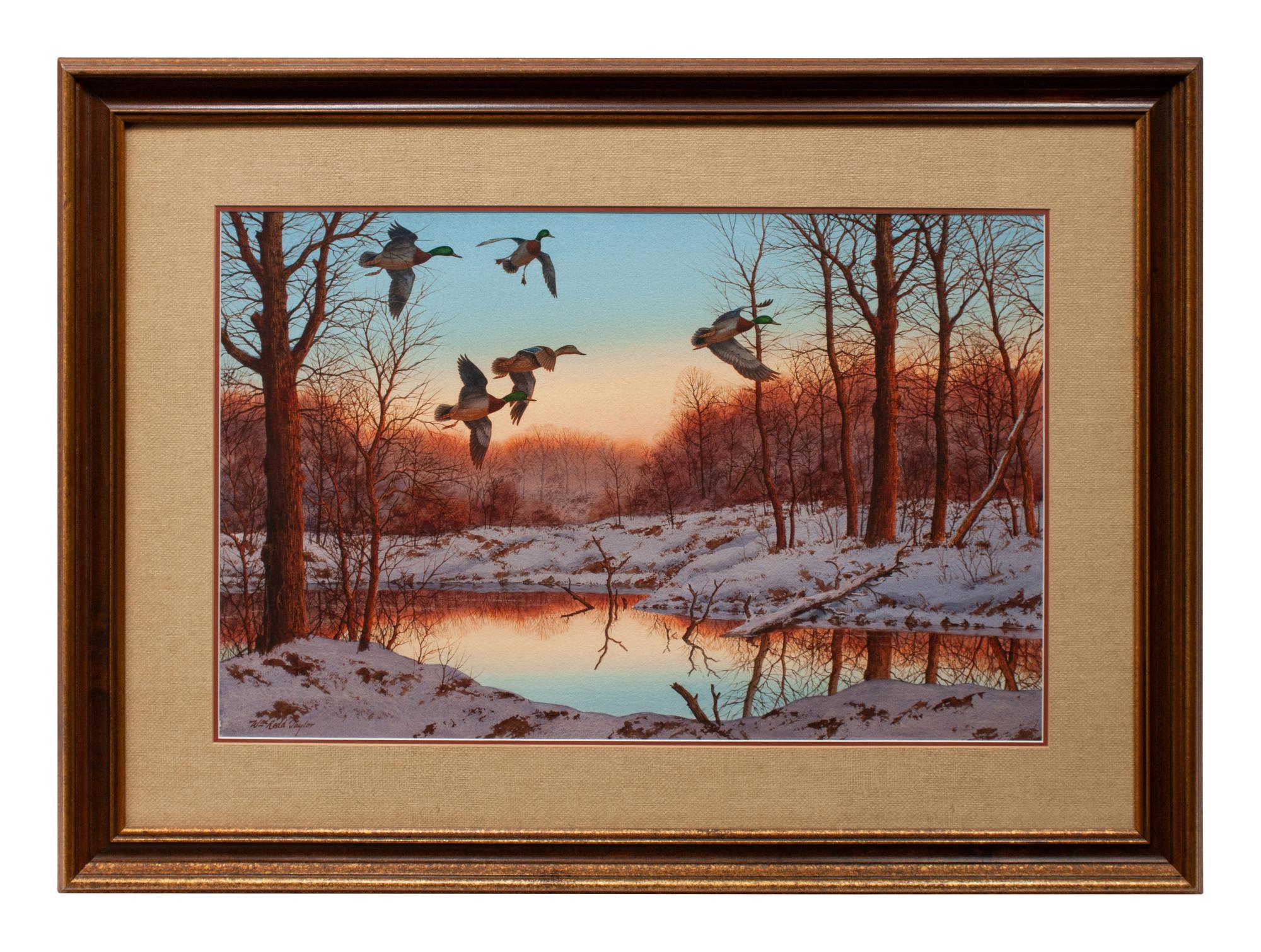 Untitled Watercolor of Mallards in Flight