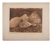 CURTIS, Edward (1868-1952). A group of 8 photogravures of Pomo, Washo, Yokuts and other California Native American baskets, portfolios 14 and 15: