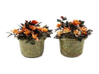 A Pair of Large Chinese Hardstone Models of Flowering Plants in Hardstone Bases