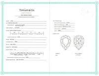 TIFFANY & CO., 'SOLESTE' FANCY INTENSE YELLOW DIAMOND, DIAMOND, AND PLATINUM NECKLACE