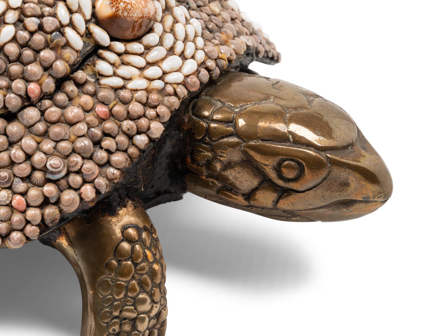 Tortoise Box