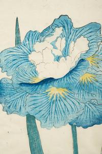 A Group of Six Japanese Color Lithographs from the Yokohama Seed Company