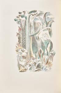 [Fine Bindings] Browne, Sir Thomas. Urne Buriall and The Garden of Cyrus