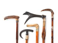 Nine Horn-Mounted Canes and Walking Sticks