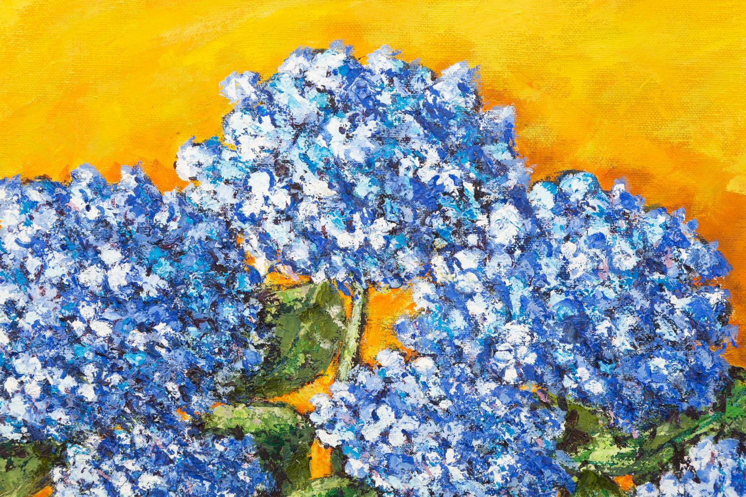 Hydrangeas