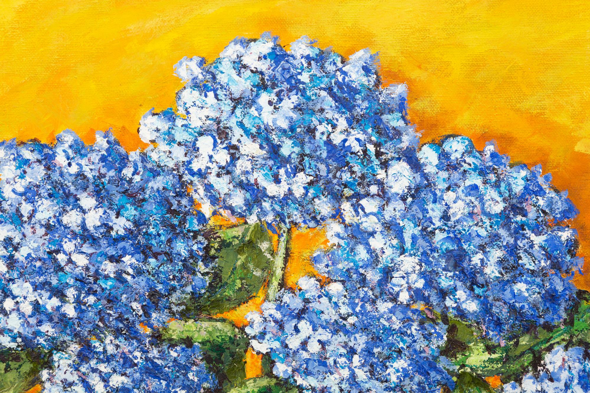 Hydrangeas