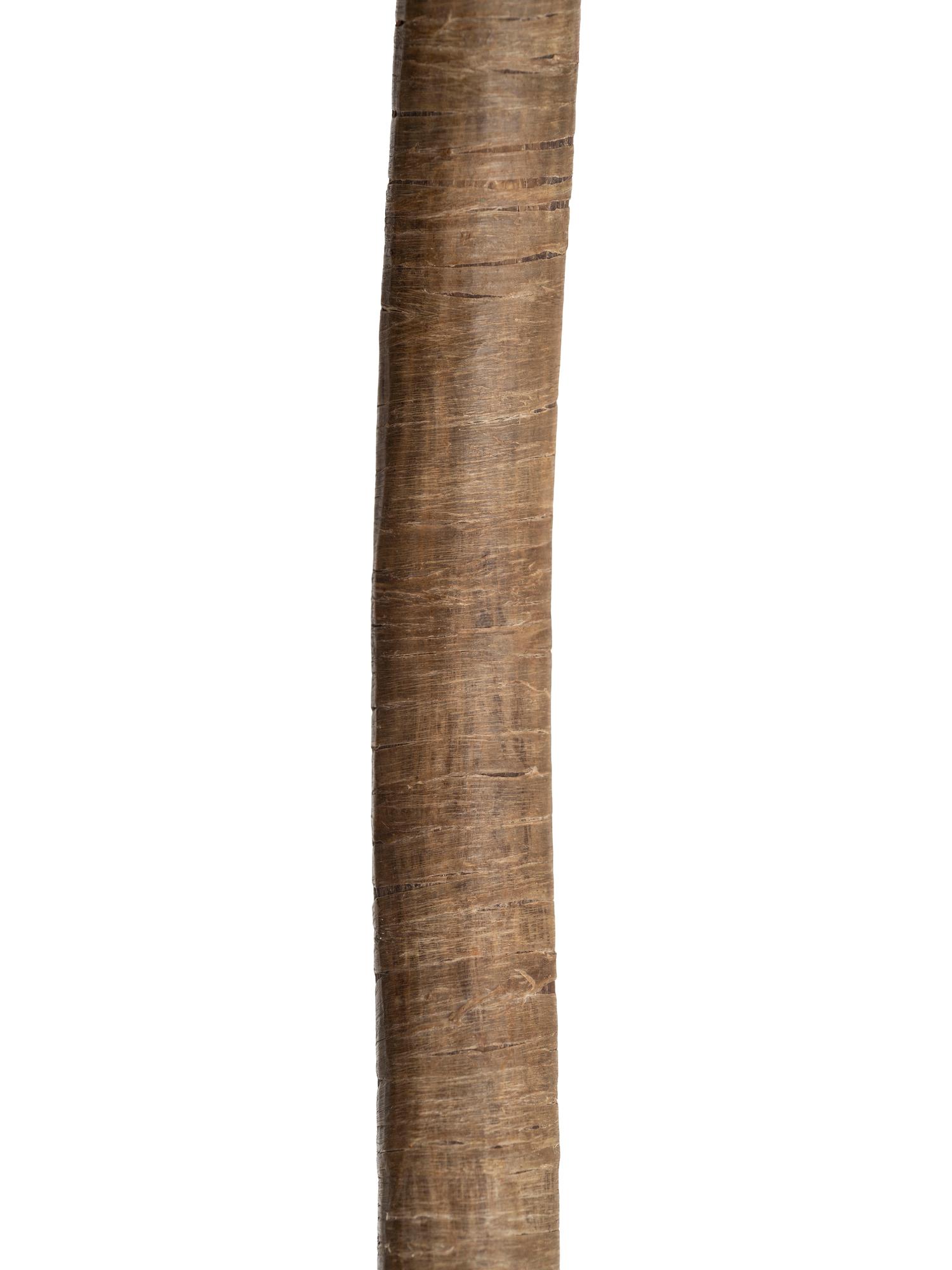 Apache Sinew-Backed Recurve Bow