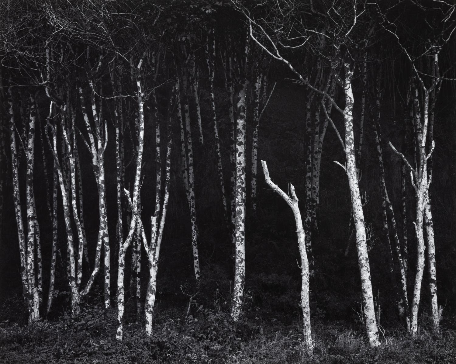 Ansel Adams (1902-1984) Portfolio VI, 1974