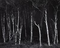 Ansel Adams (1902-1984) Portfolio VI, 1974