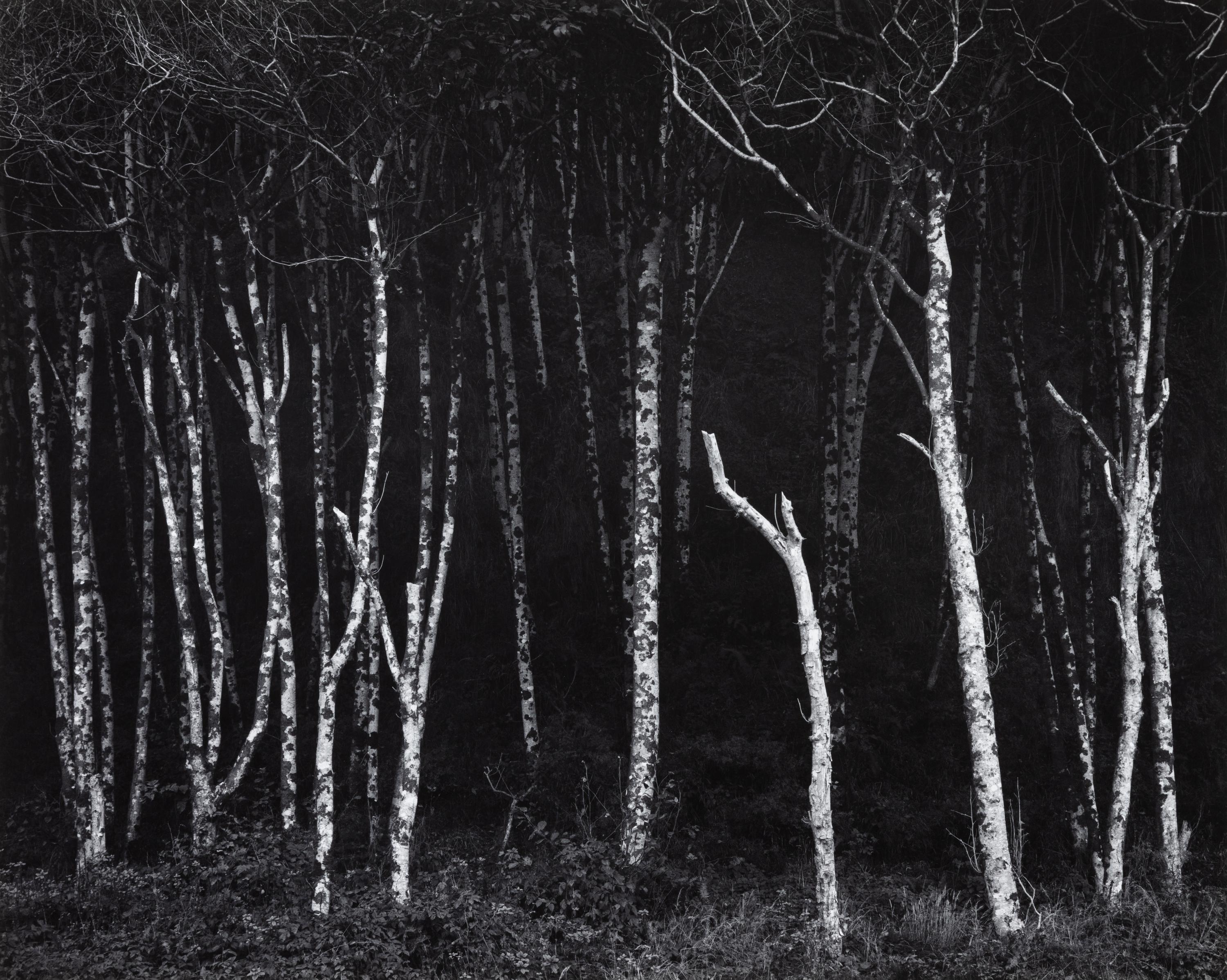 Ansel Adams (1902-1984) Portfolio VI, 1974