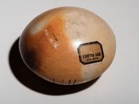 Polychrome Pottery Jar