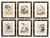 A Set of Six Hand-Colored Engravings from The Aurelian Height 12 1/4 x width 9 1/2 inches (visible). — MOSES HARRIS (1731-1785), CIRCA 1766