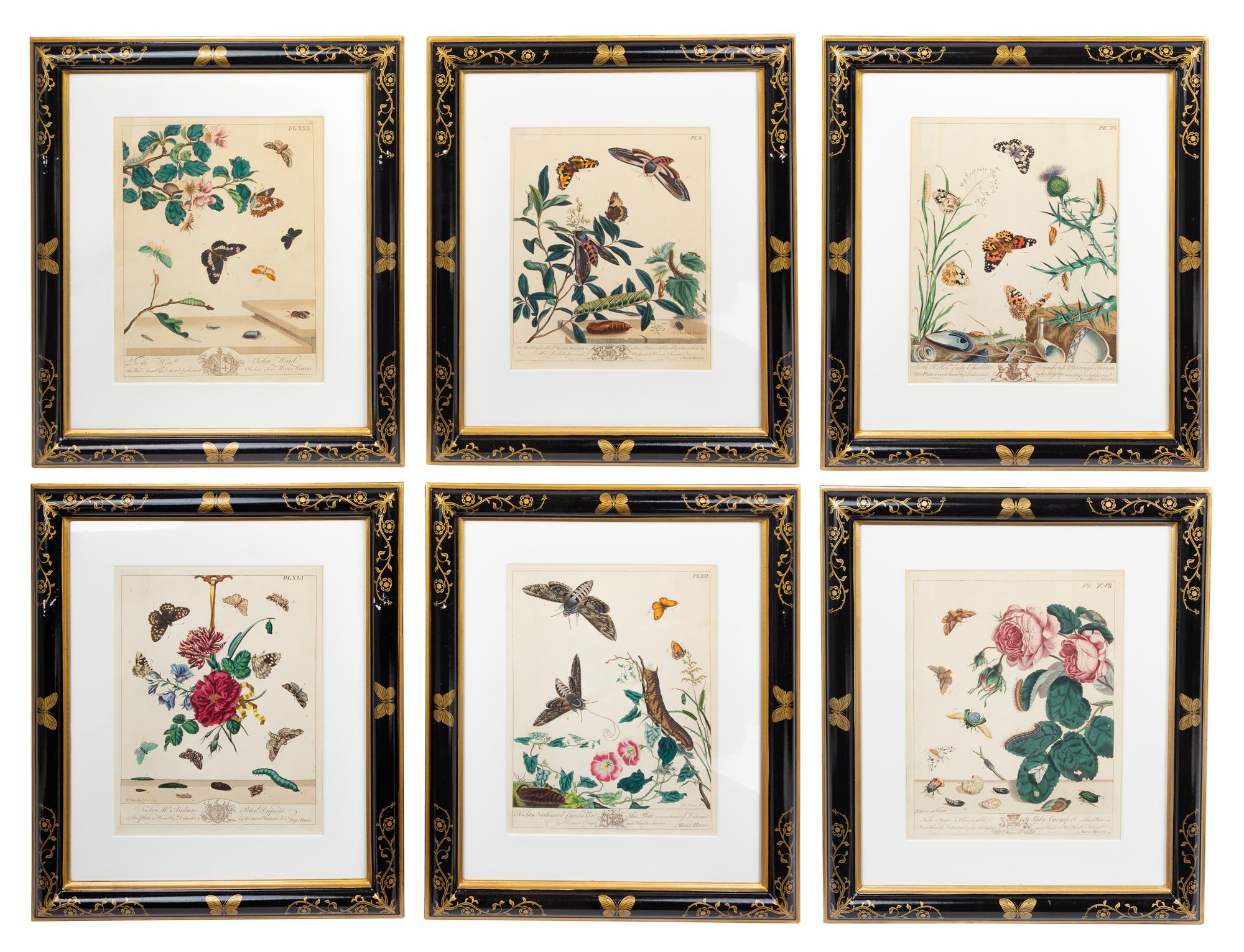 A Set of Six Hand-Colored Engravings from The Aurelian Height 12 1/4 x width 9 1/2 inches (visible). — MOSES HARRIS (1731-1785), CIRCA 1766