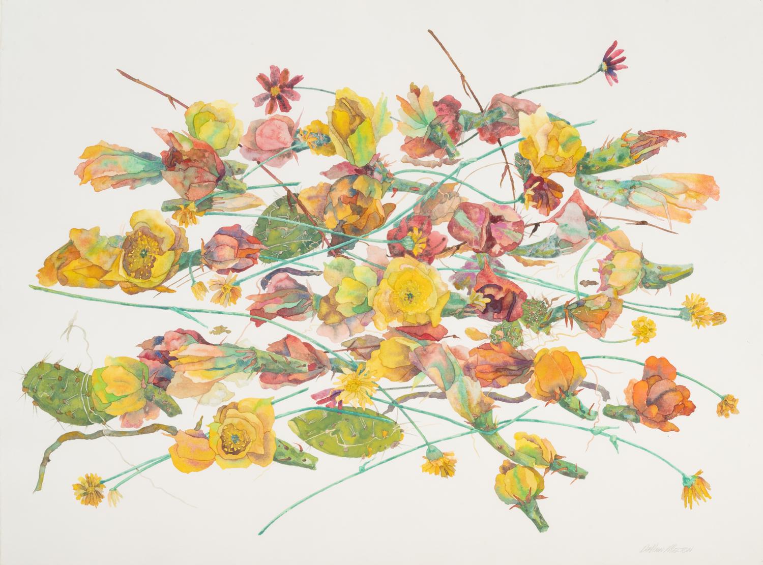 Desert Flowers