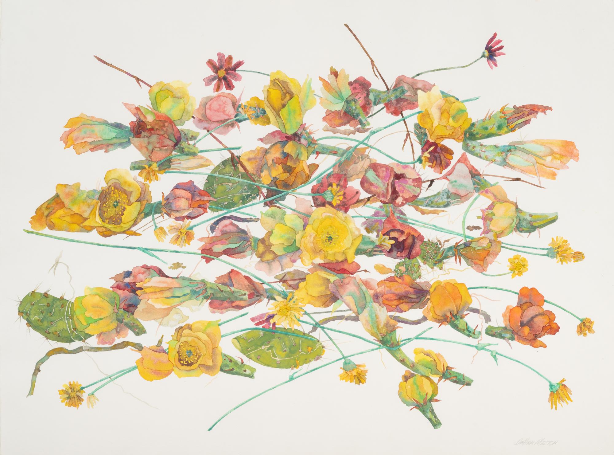 Desert Flowers